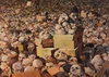 Galería de pinturas de Javier Barreiro – Cuba