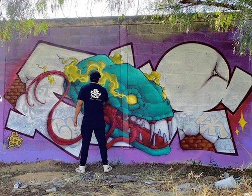 Gallery Of Street Art By Elchicho - Mexico