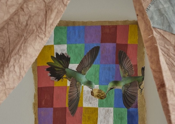 Archivo pictórico del artista argentina GALA BERGER