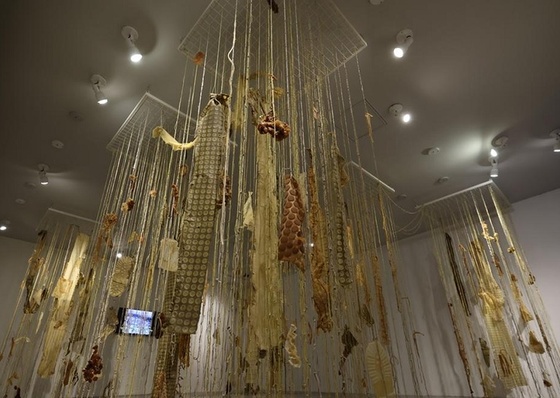 Exposição da conexão entre arte e natureza