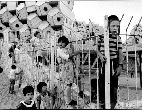 leonard freed