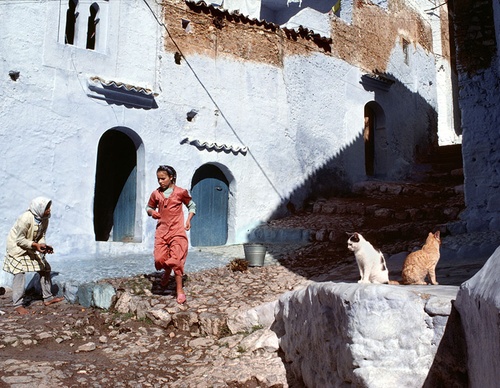 bruno barbey