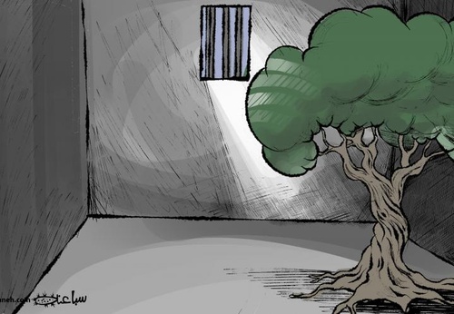 The Palestinian trees