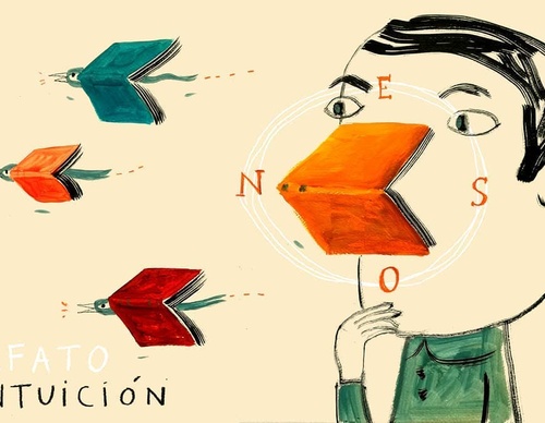 isol misenta