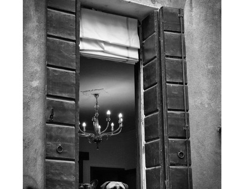 Galeria de fotografia de Ovidiu Șelaru - Romênia
