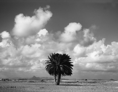 raymond depardon
