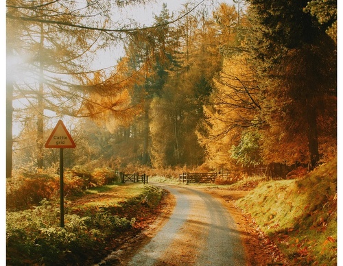 Gallery Of Photography By Daniel Casson - United Kingdom