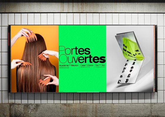 Gallery of Graphic Design by Maximilien Pellegrini - Swiss