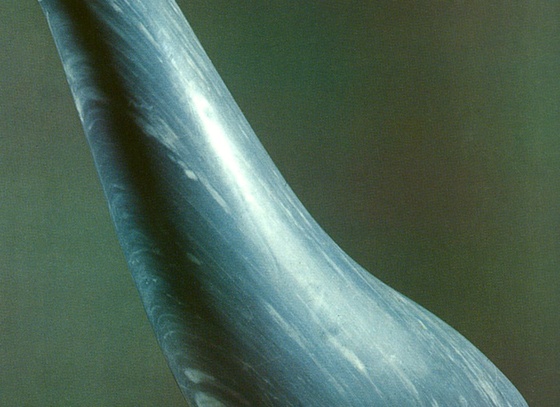 Constantin Brâncuși