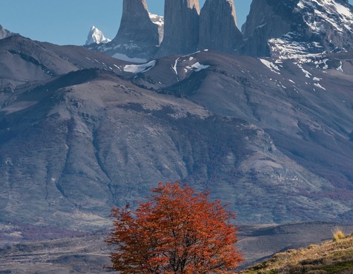 Gallery Of Photography By Timothy Dhalleine - Chile