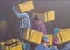An art auction in Argentina