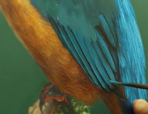Galería de pintura realista de Annie Drew - Reino Unido