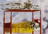 Autorretrato de Frida Kahlo