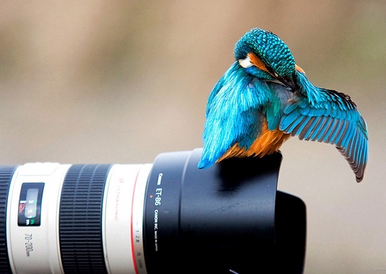 As 6 melhores técnicas de fotografia digital 1