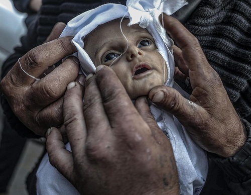 Gallery of Photography In Gaza by Ali Jadallah - Palestine