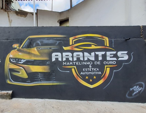 Gallery Of Street Art By Diego Forms - Brazil