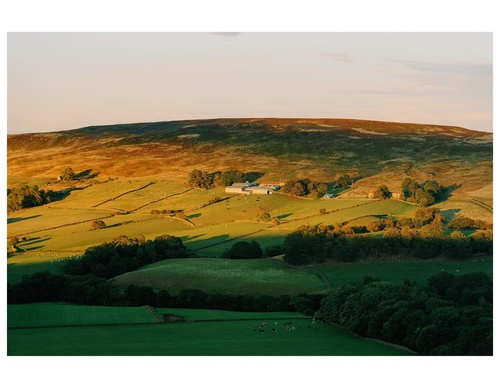 Gallery Of Photography By Daniel Casson - England