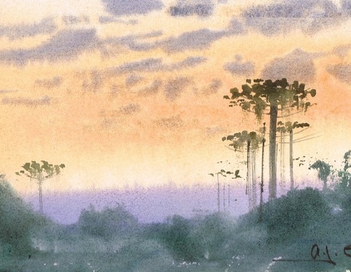 antonio giacomin