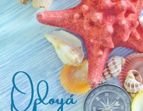 claudia stella resende