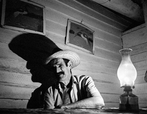 raul canibano