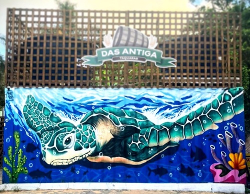 Gallery Of Street Art By Berejuk - Brazil