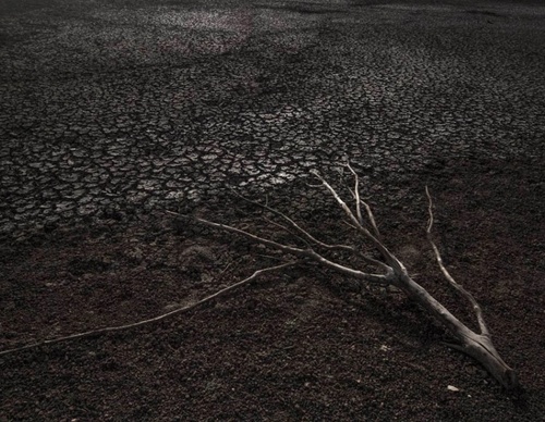 Gallery of photography by Gustavo Bettini-Brazil