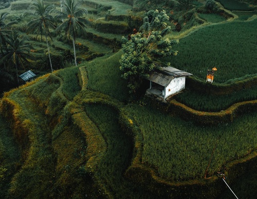 Galeria de fotografias de Long-Nong Huang - Alemanha