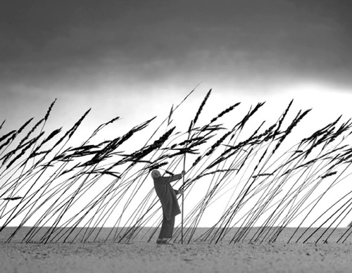 Gallery Of Photography By Gilbert Garcin - France
