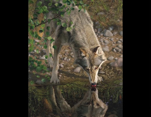Gallery Of Painting By Greg Beecham - USA