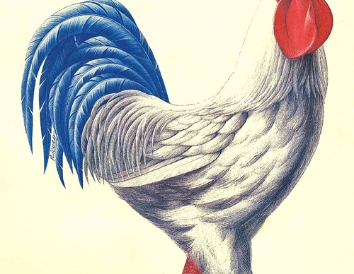 patrice ricord