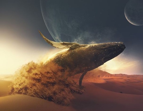 Gallery Of Illustration By Jonathan Rodrigues - Brazil