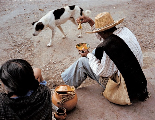 werner bischof
