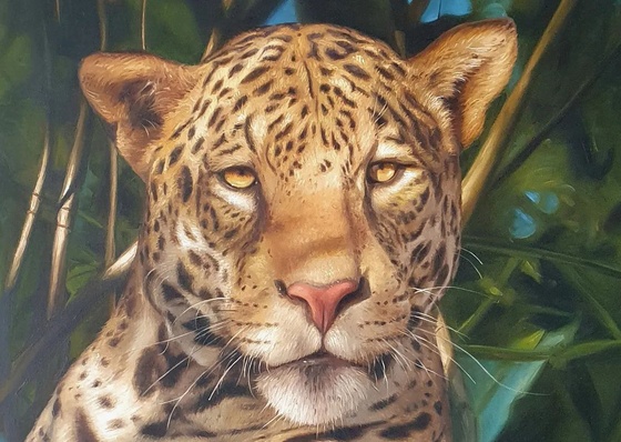Gallery Of Painting By André Maurício - Brazil