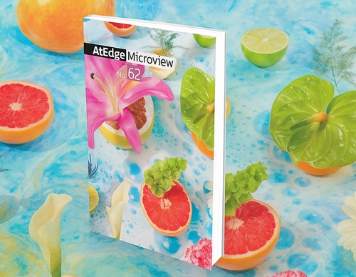 AtEdge Microview N.º 62