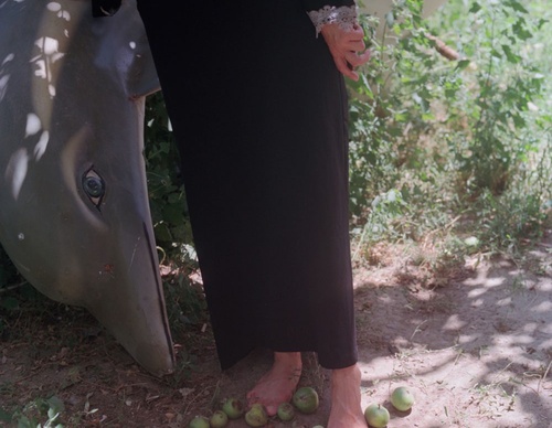 sabiha cimen