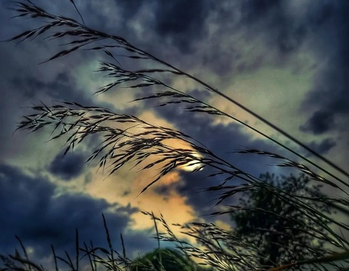 Gallery of Photography by Angela Petruzzelli - Italy