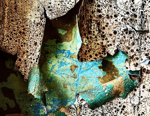 Galería de fotografías de Debbie Tucker - Inglaterra
