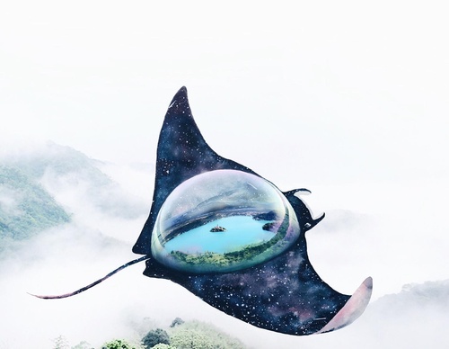 Galería De Ilustración De Luisa Azevedo - Portugal