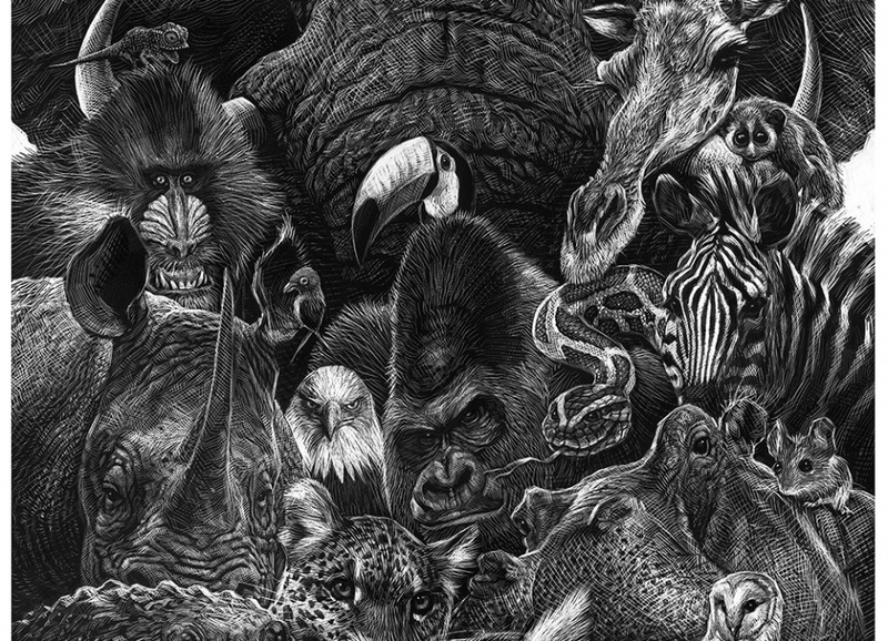 The Illustrated Animal – Ricardo Martínez