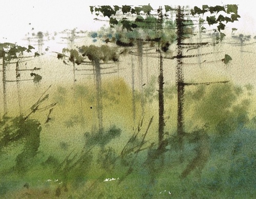 antonio giacomin