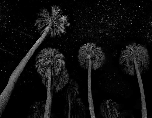Gallery Of Photography By Diego Ortiz Mugica - Argentina
