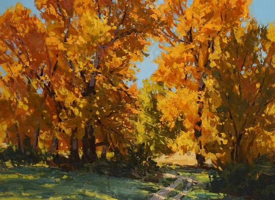 Aaron Schuerr