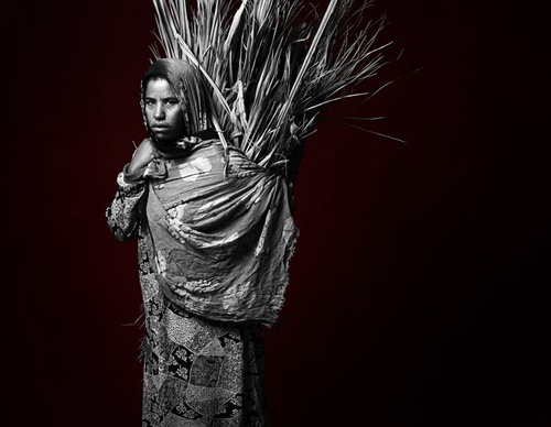 Galeria de Fotografia de Sandro Miller-Estados Unidos