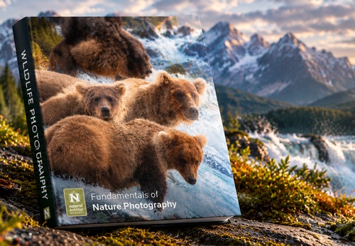 FUNDAMENTOS DE LA FOTOGRAFÍA DE NATURALEZA
