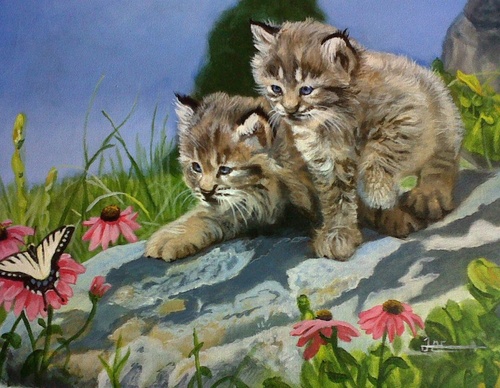 jorge castrillon
