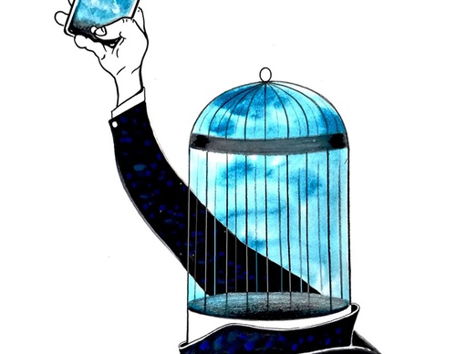 terror online cartoons