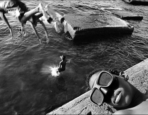 raul canibano