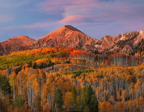 Galería de fotografía de Greg Boratyn - Argentina