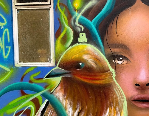 Gallery Of Street Art By Javier Rodriguez - Ecuador