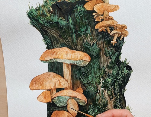 Gallery Of Painting By Rita Gould - United Kingdom